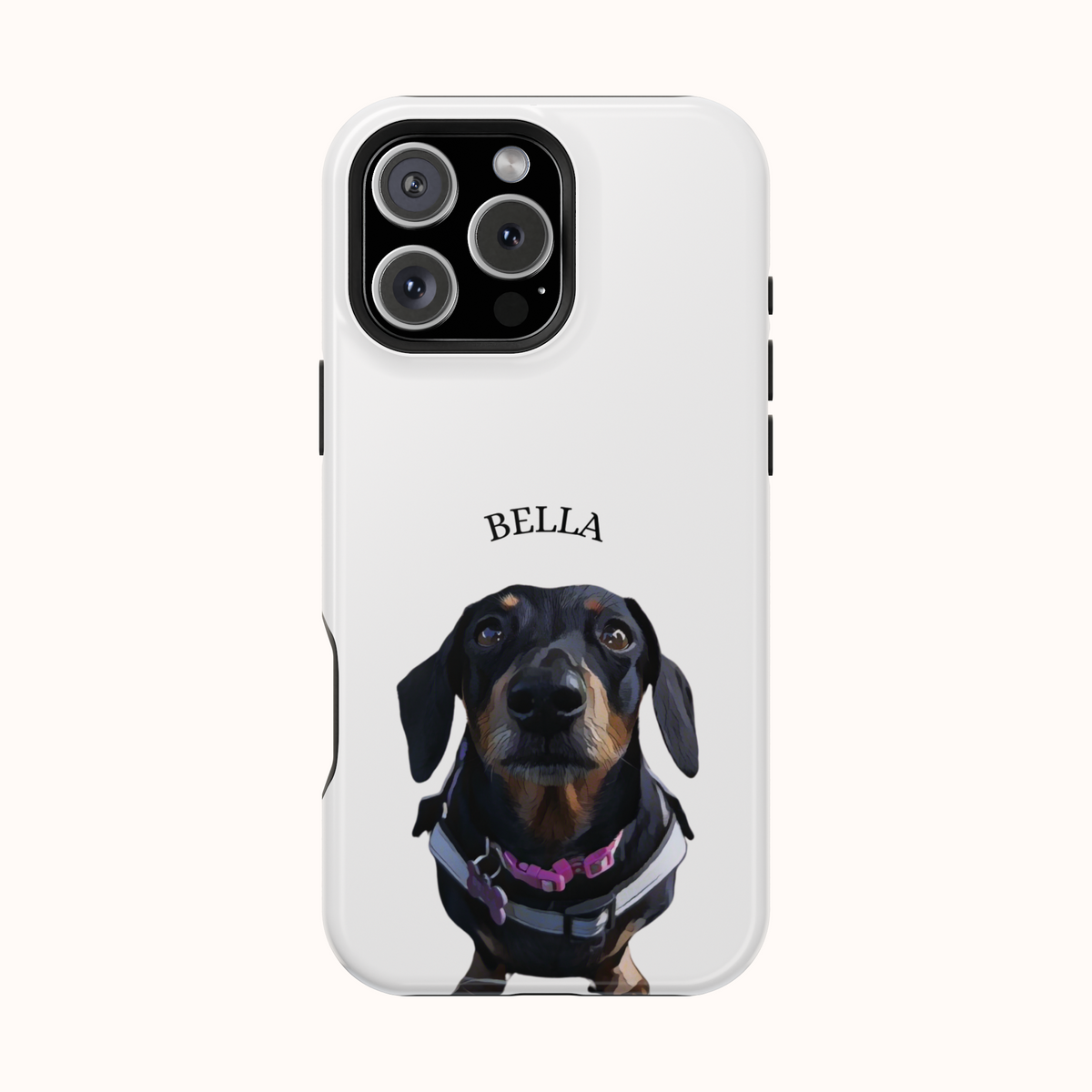 Custom Magnetic Cases