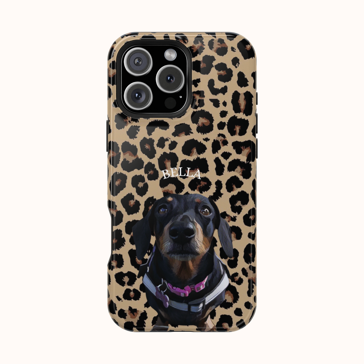 Custom Magnetic Cases
