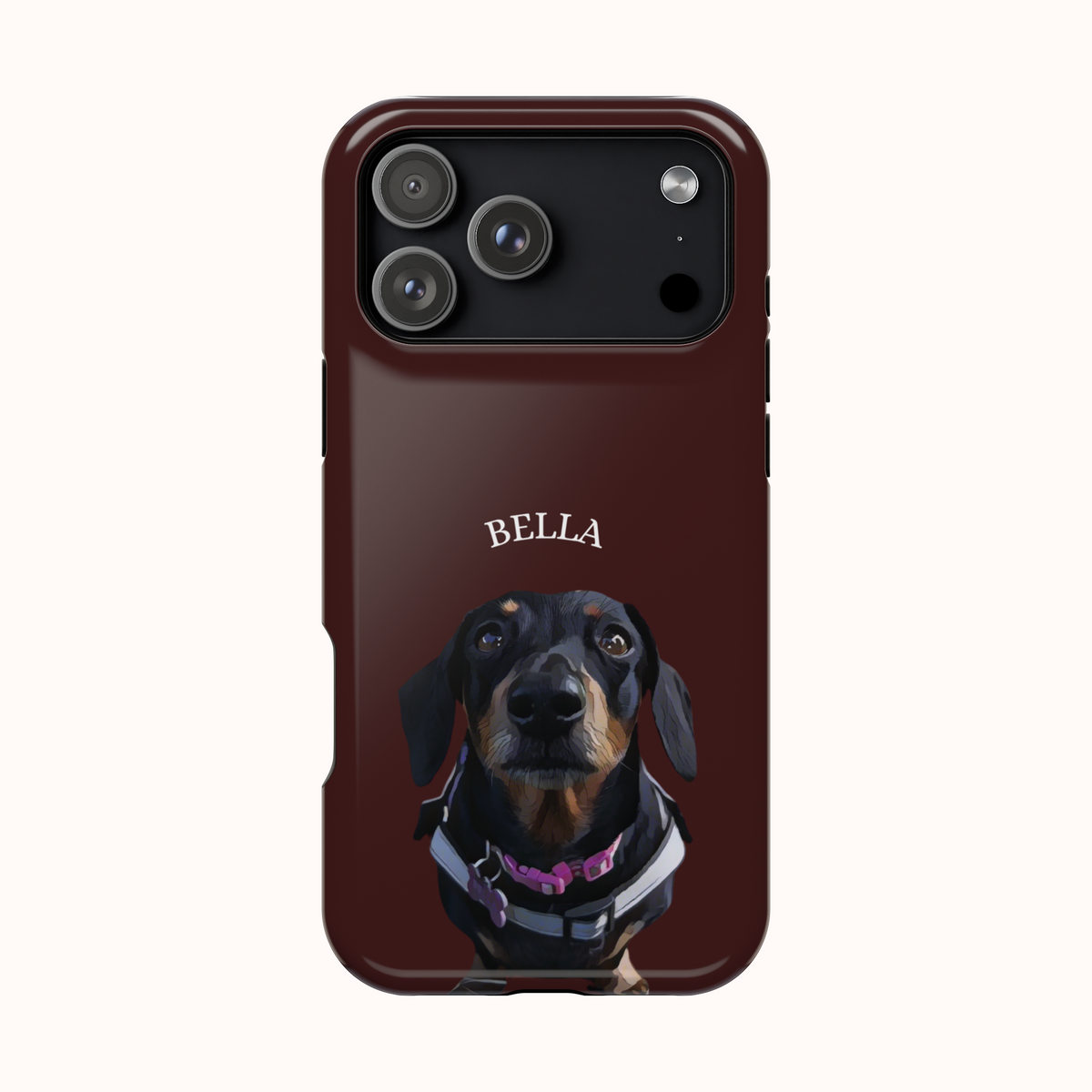 Custom Magnetic Cases