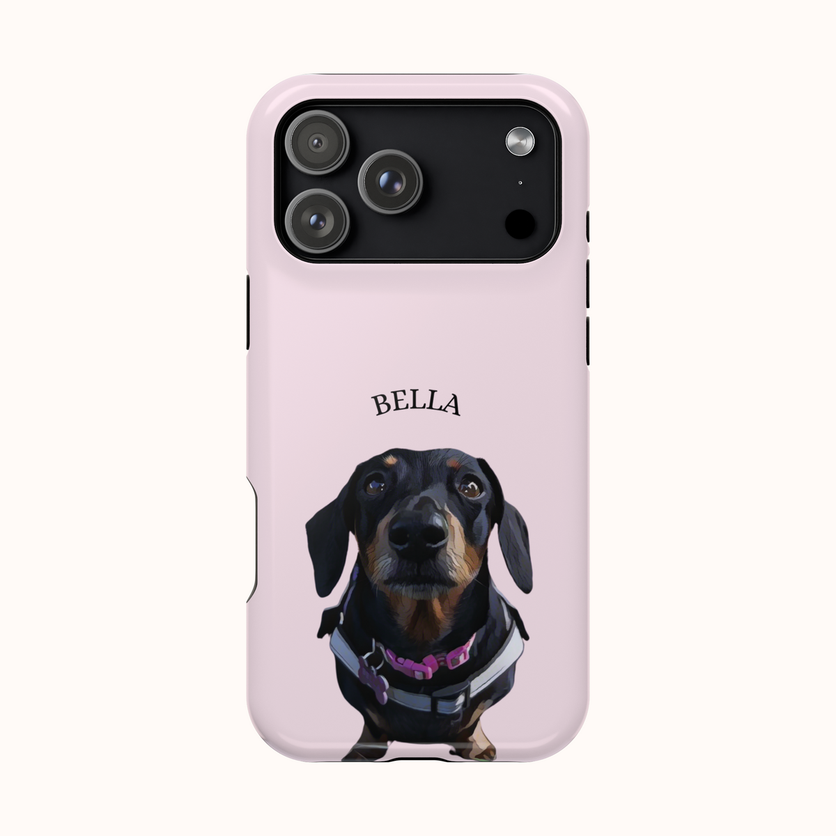 Custom Magnetic Cases