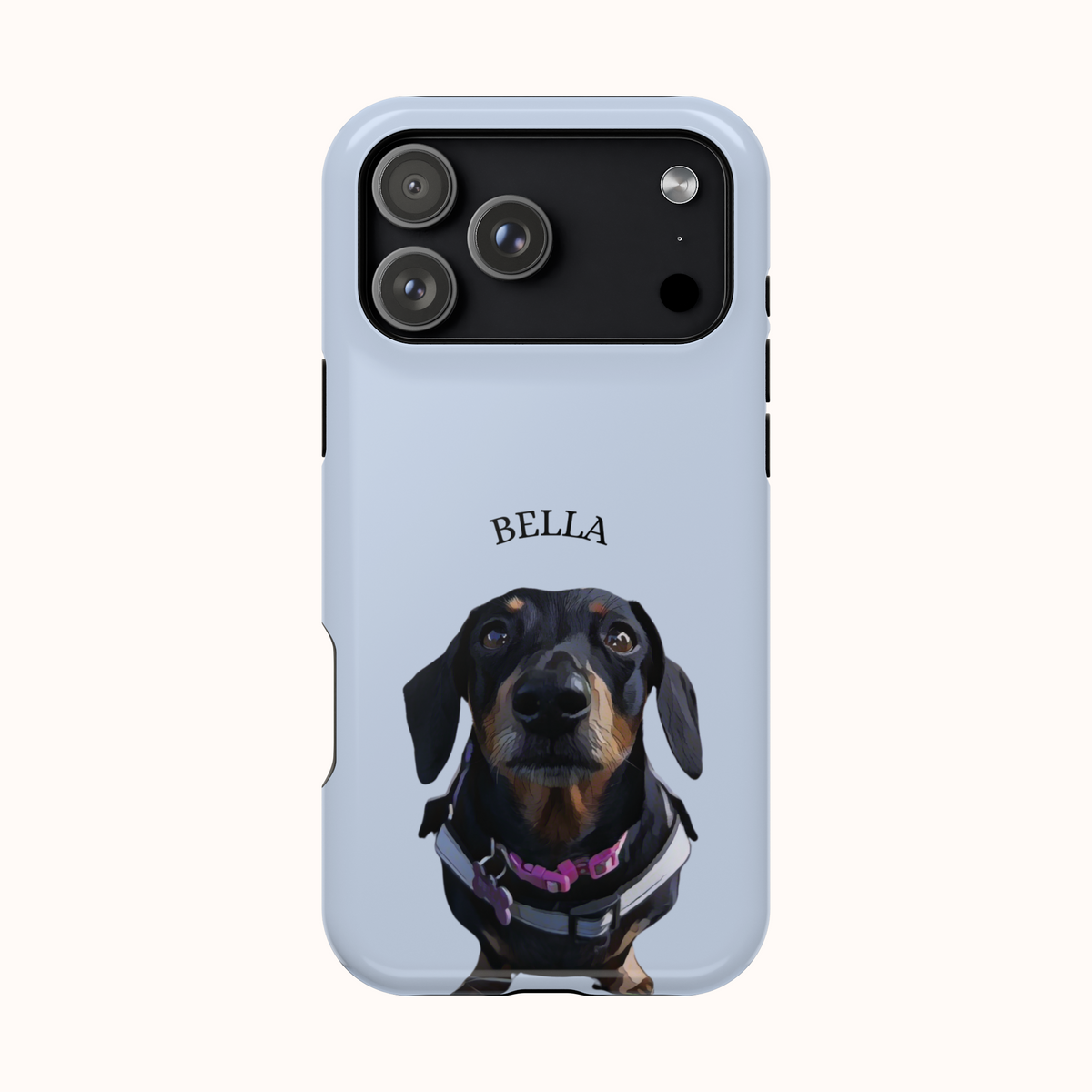 Custom Magnetic Cases