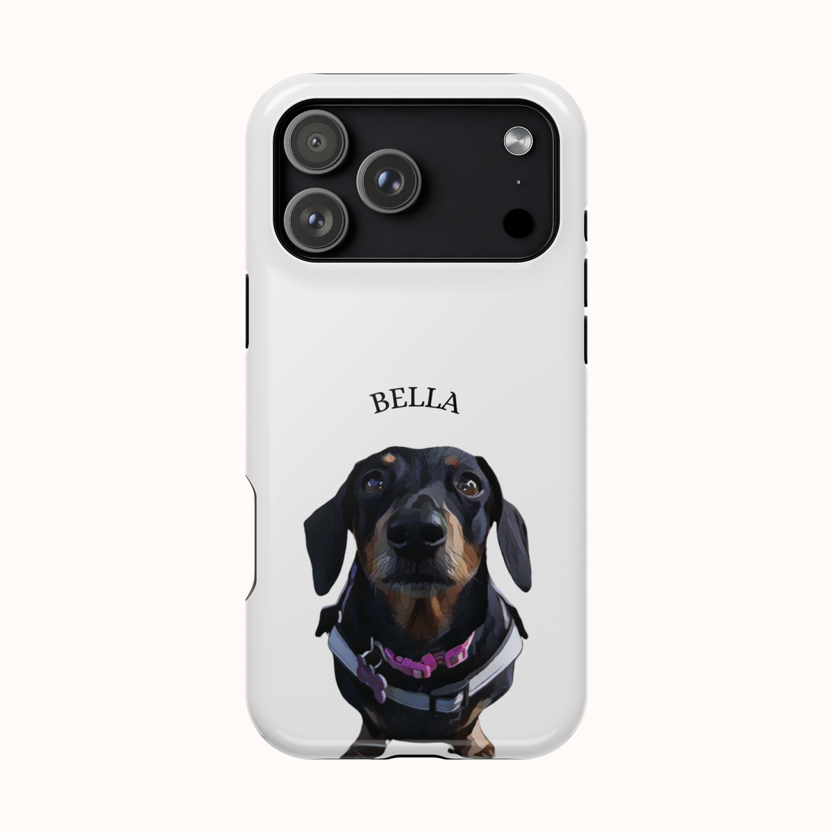 Custom Magnetic Cases