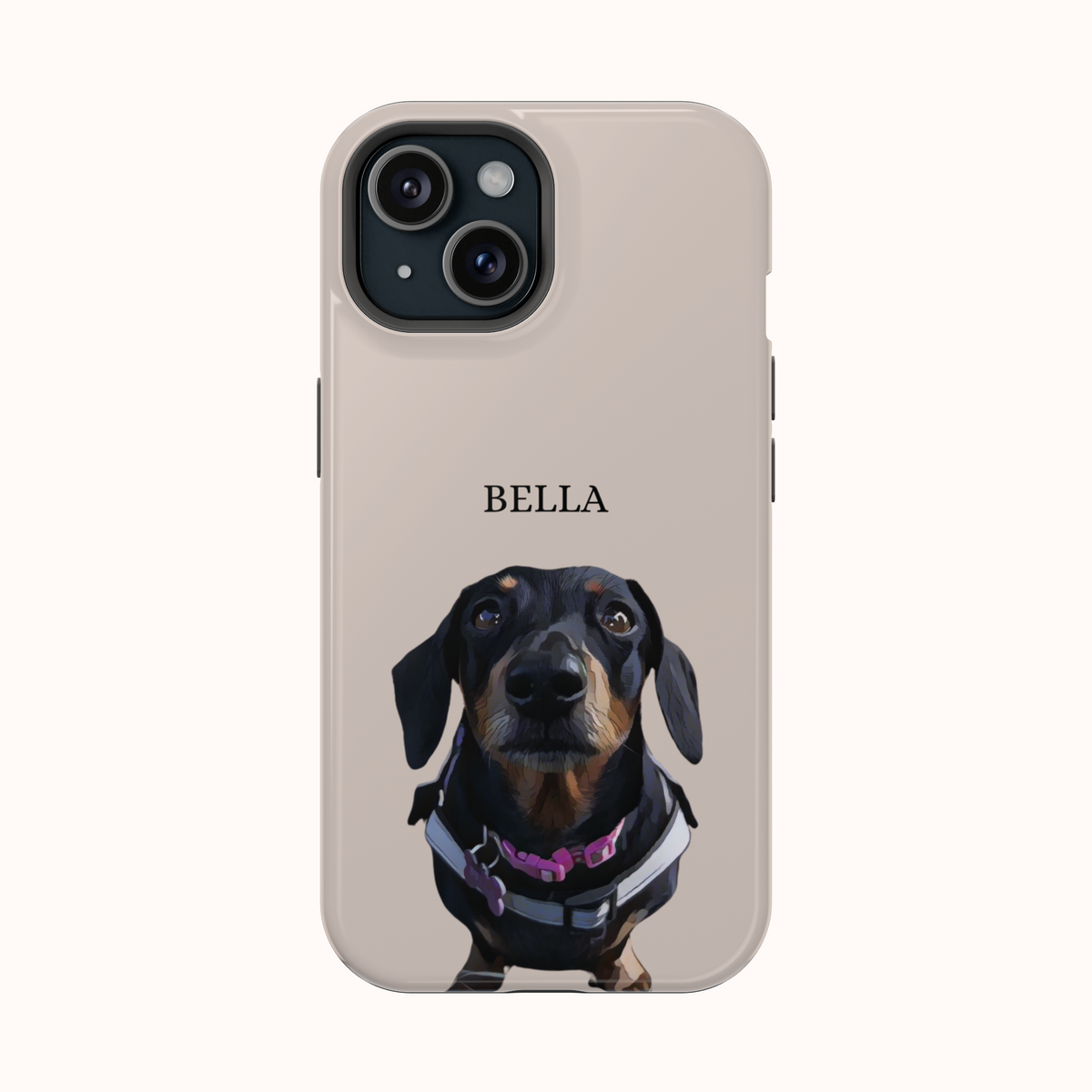 Custom Magnetic Cases