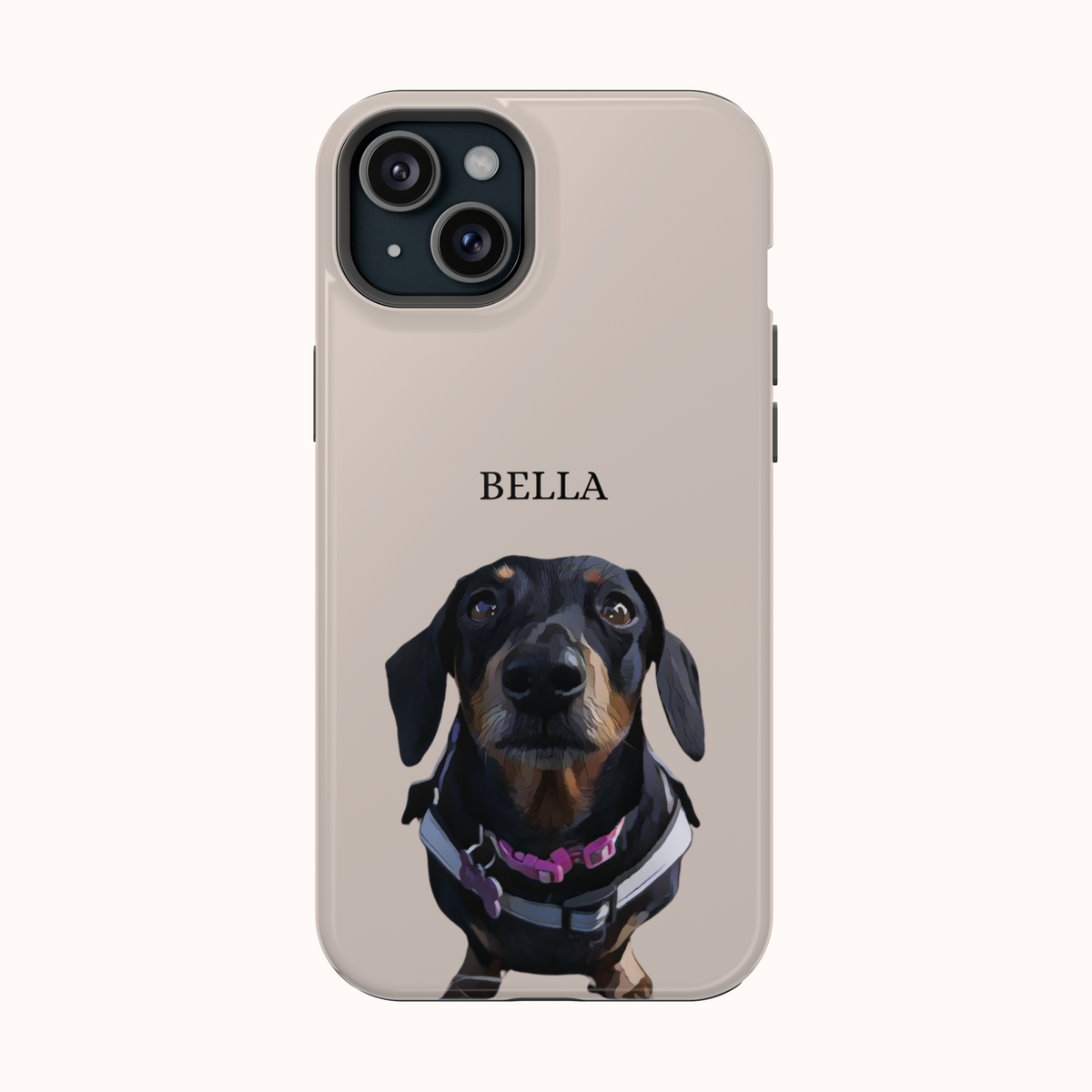 Custom Magnetic Cases
