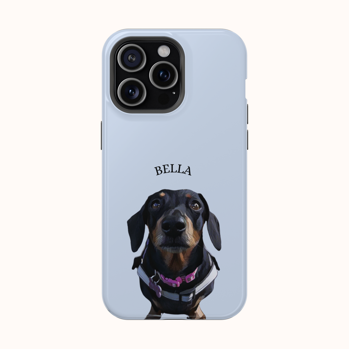 Custom Magnetic Cases