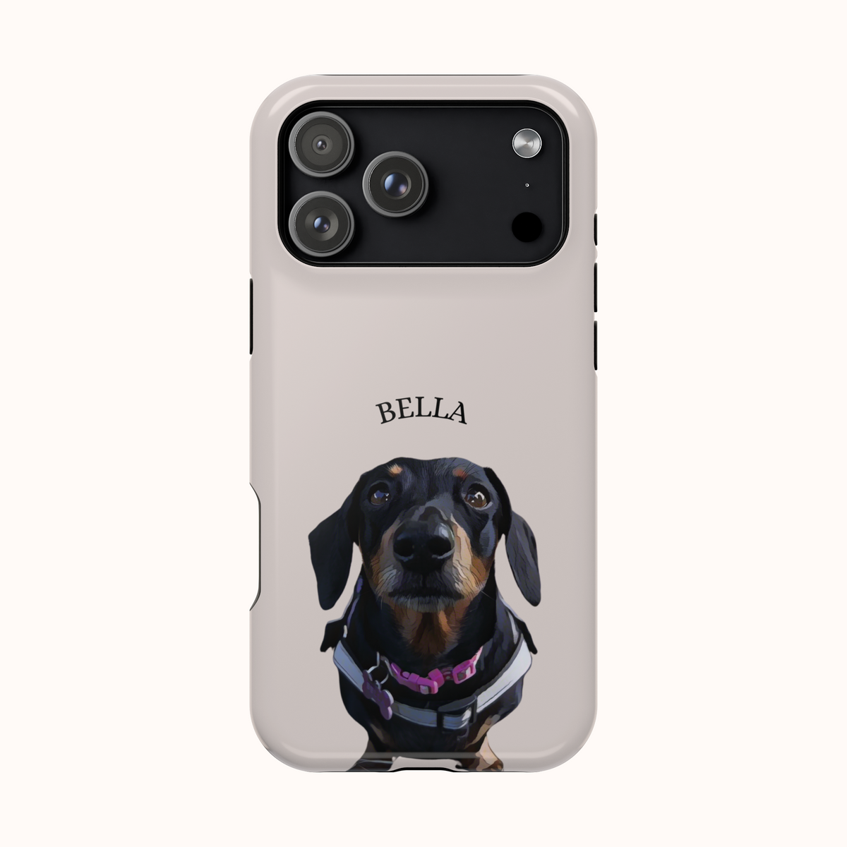 Custom Magnetic Cases