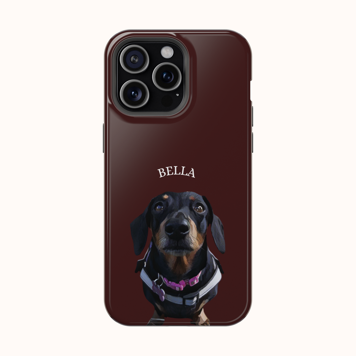 Custom Magnetic Cases