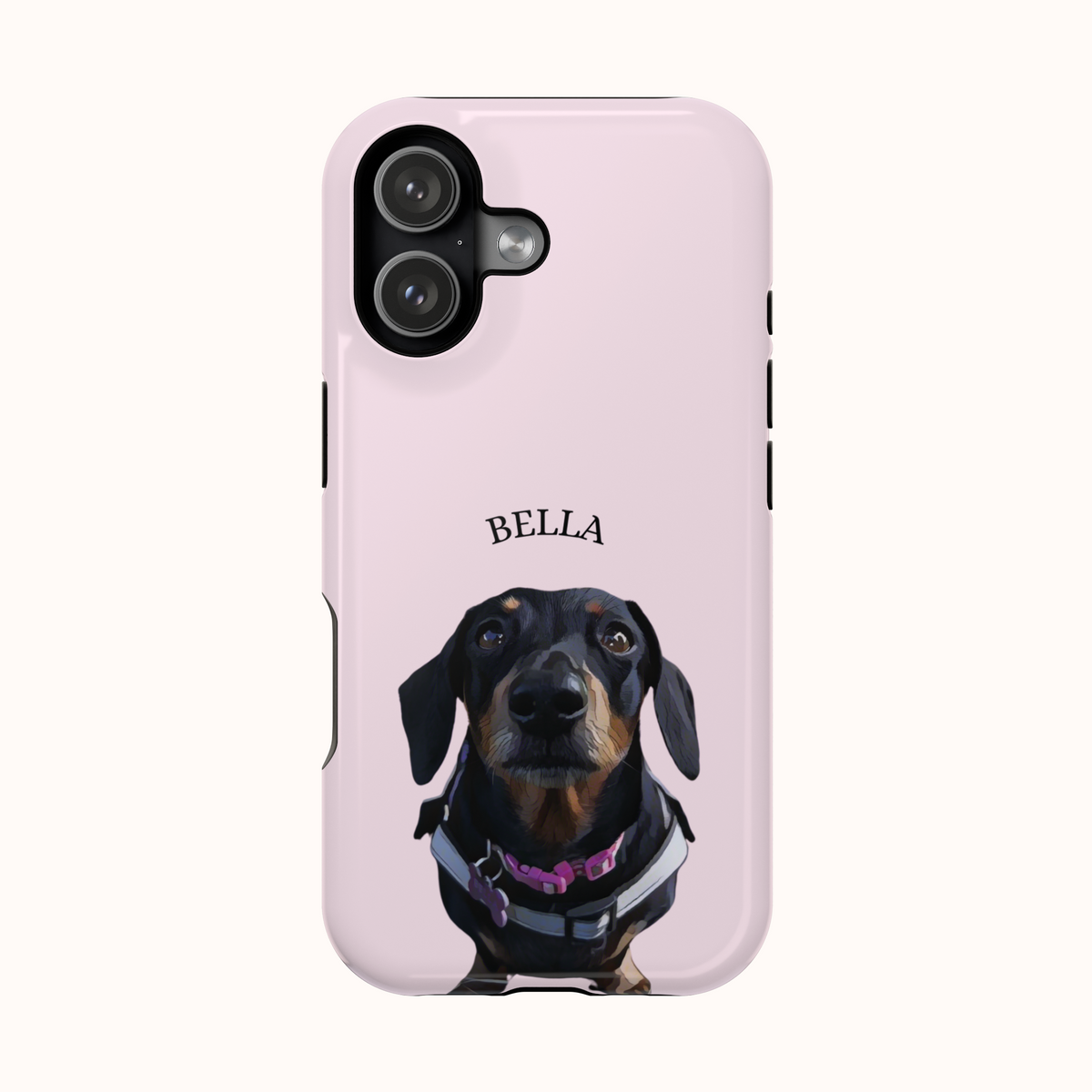 Custom Magnetic Cases