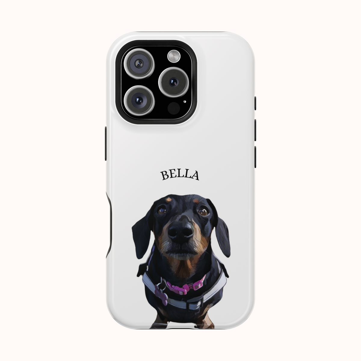 Custom Magnetic Cases
