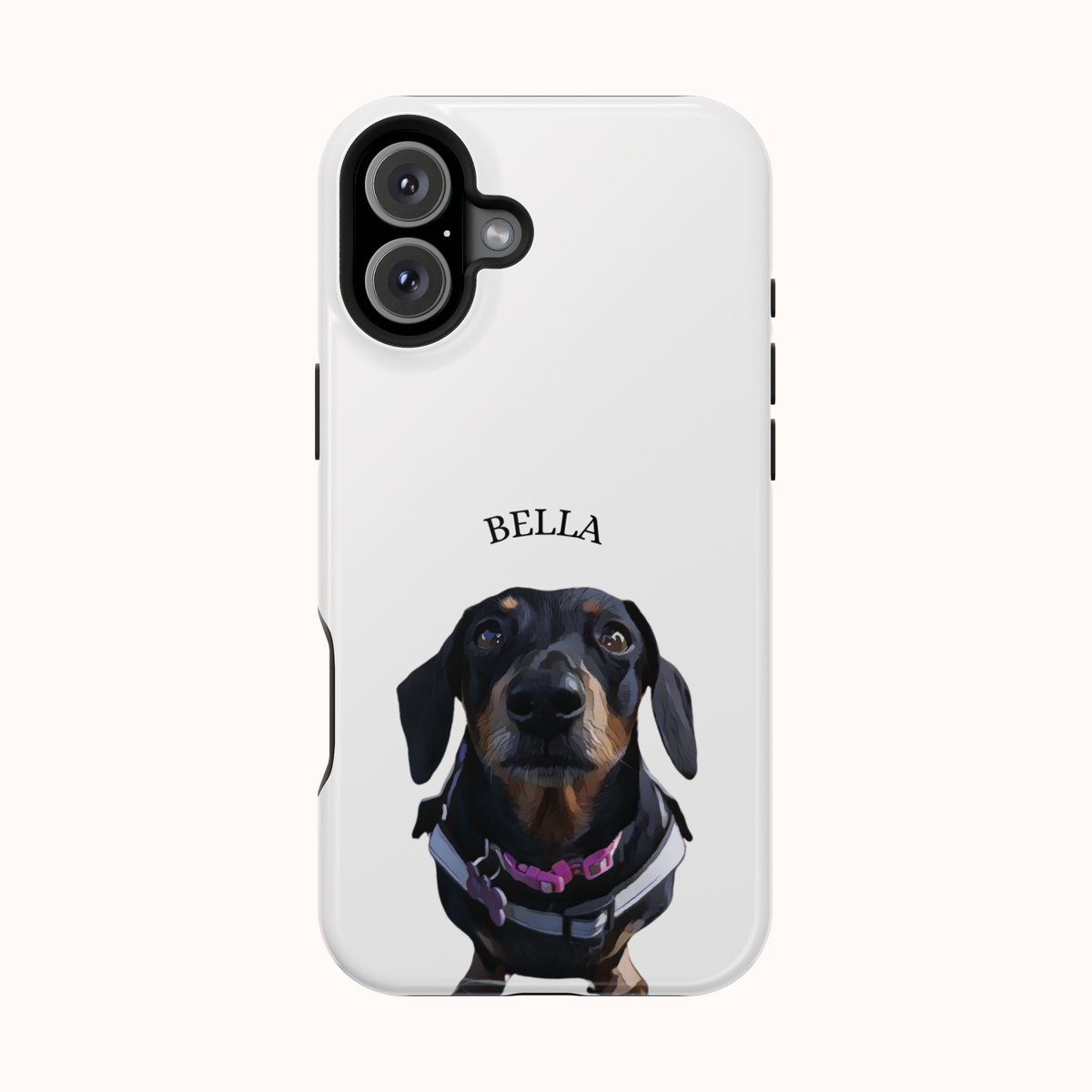 Custom Magnetic Cases