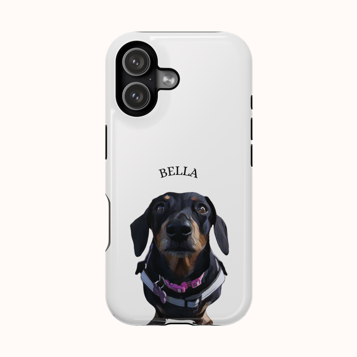 Custom Magnetic Cases