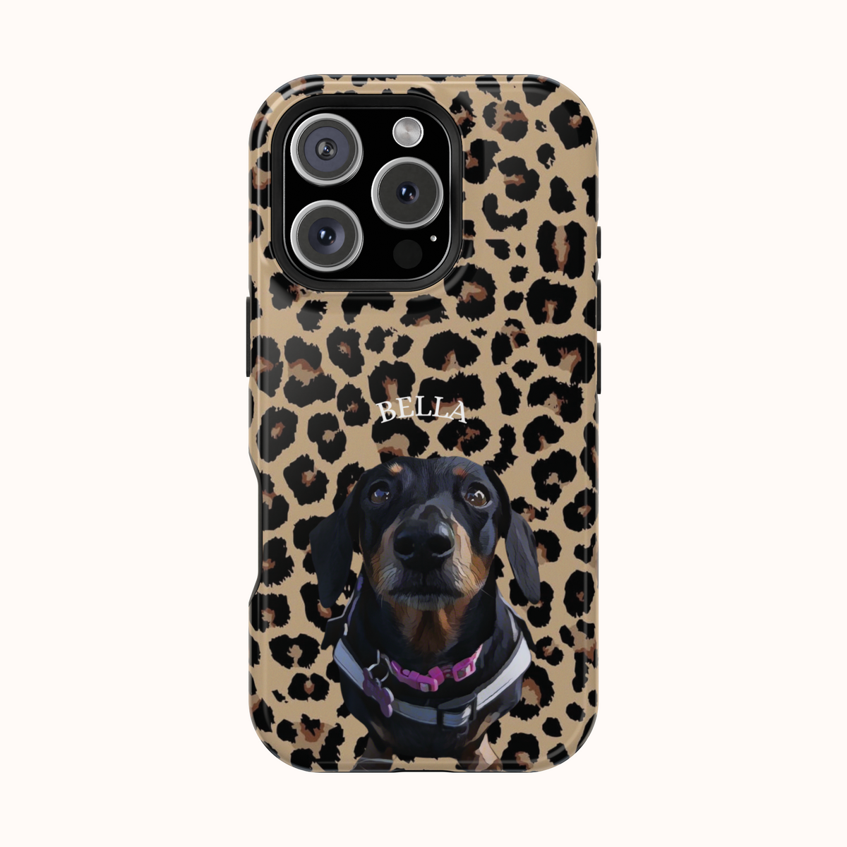 Custom Magnetic Cases
