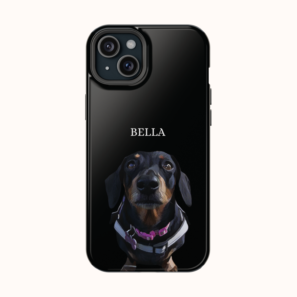 Custom Magnetic Cases