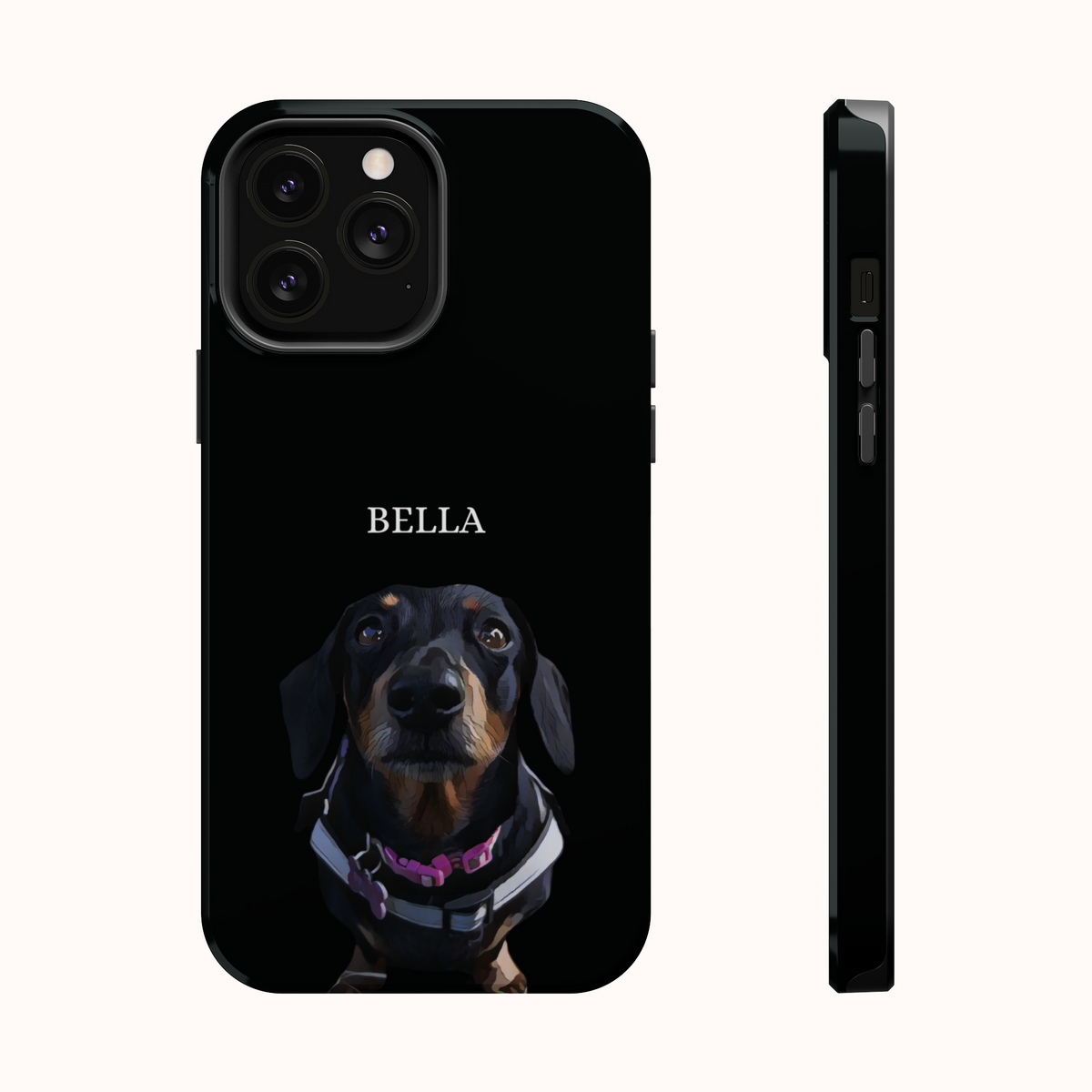 Custom Magnetic Cases