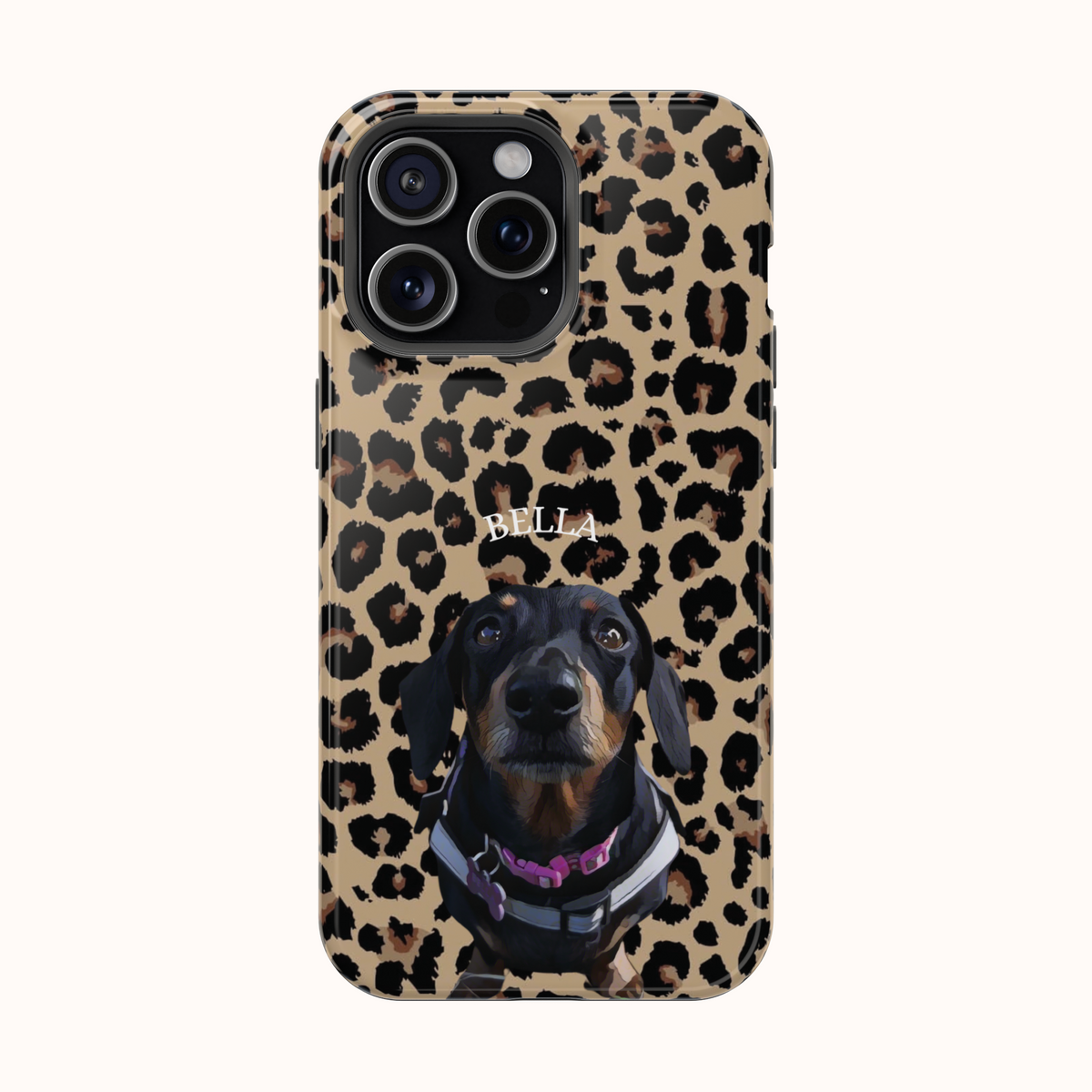 Custom Magnetic Cases