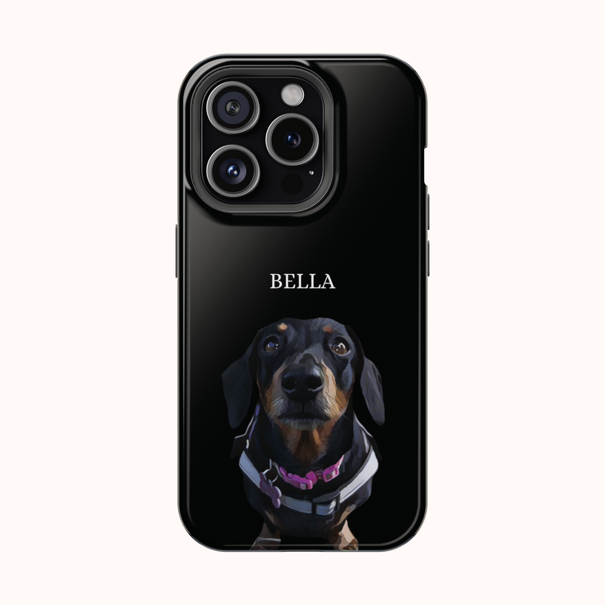 Custom Magnetic Cases