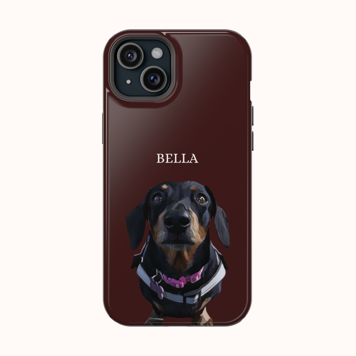 Custom Magnetic Cases