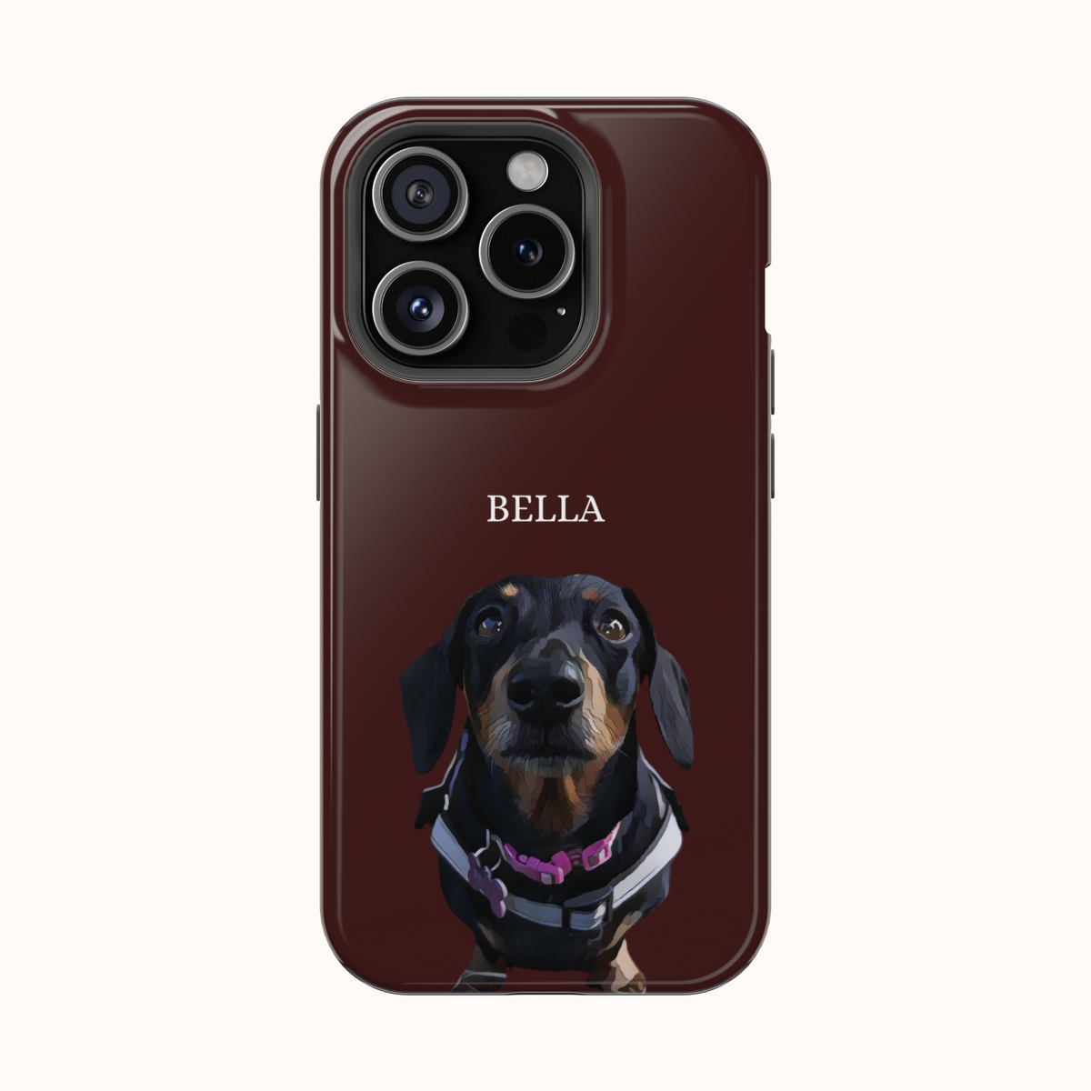 Custom Magnetic Cases