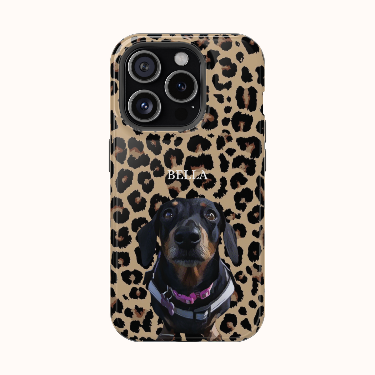 Custom Magnetic Cases