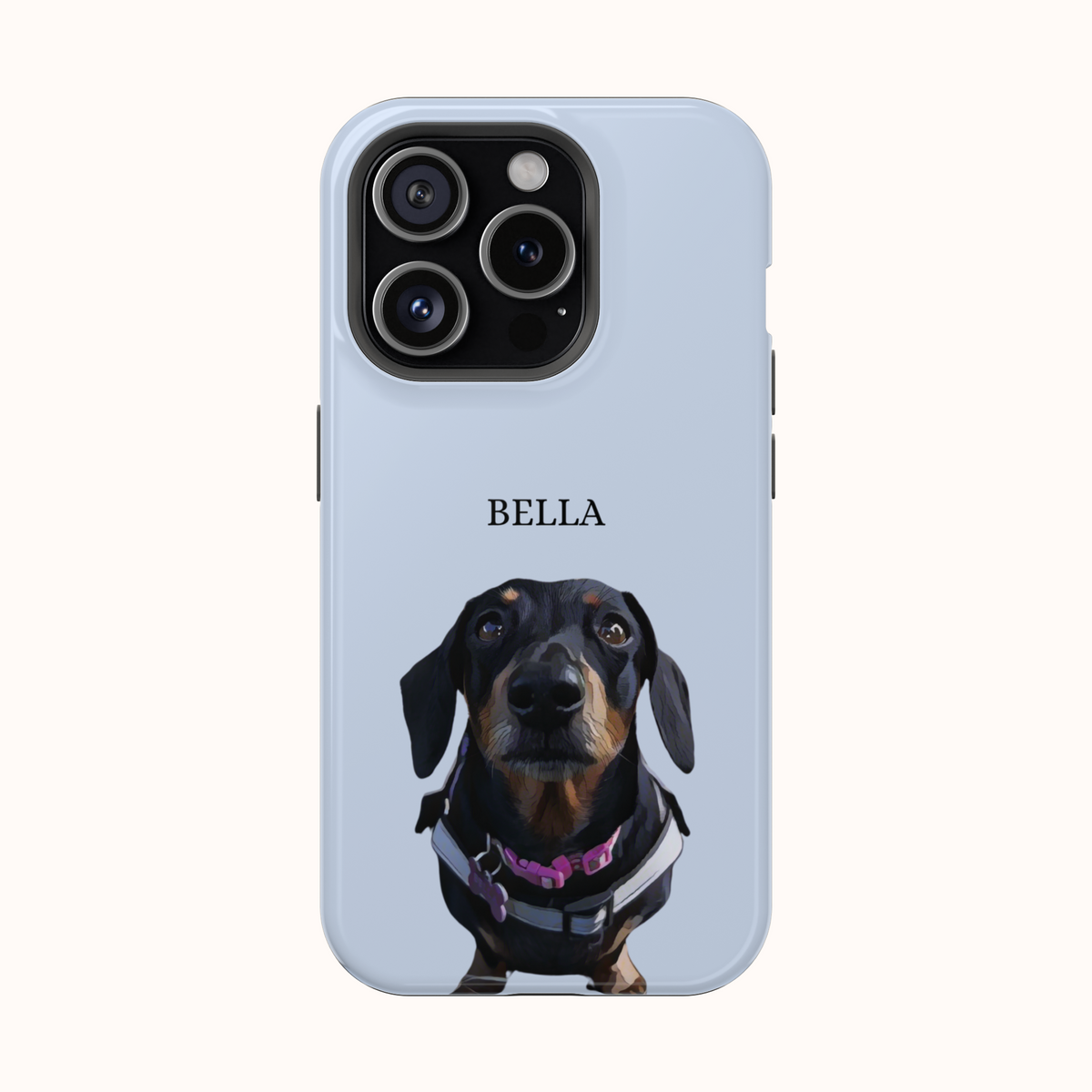 Custom Magnetic Cases