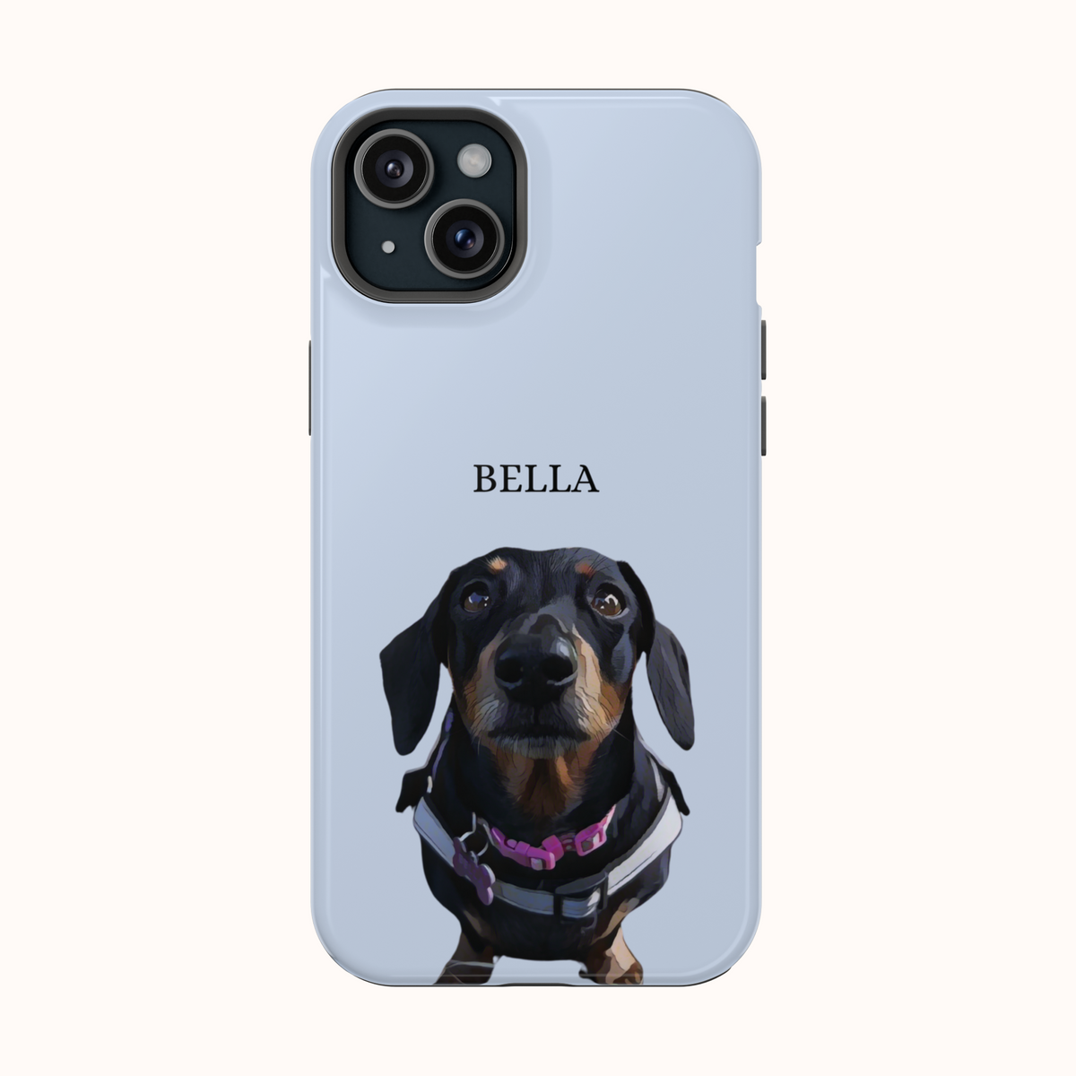 Custom Magnetic Cases