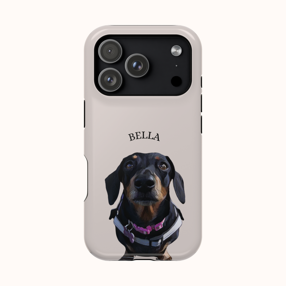 Custom Magnetic Cases