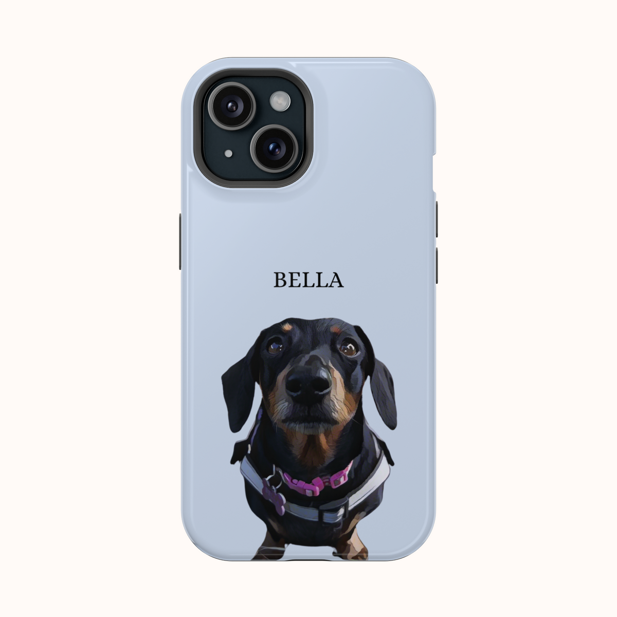 Custom Magnetic Cases