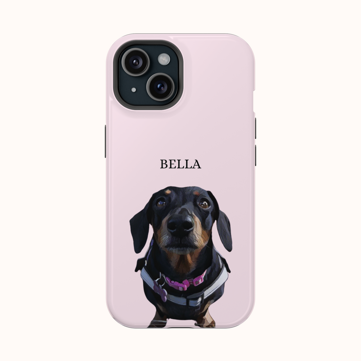 Custom Magnetic Cases