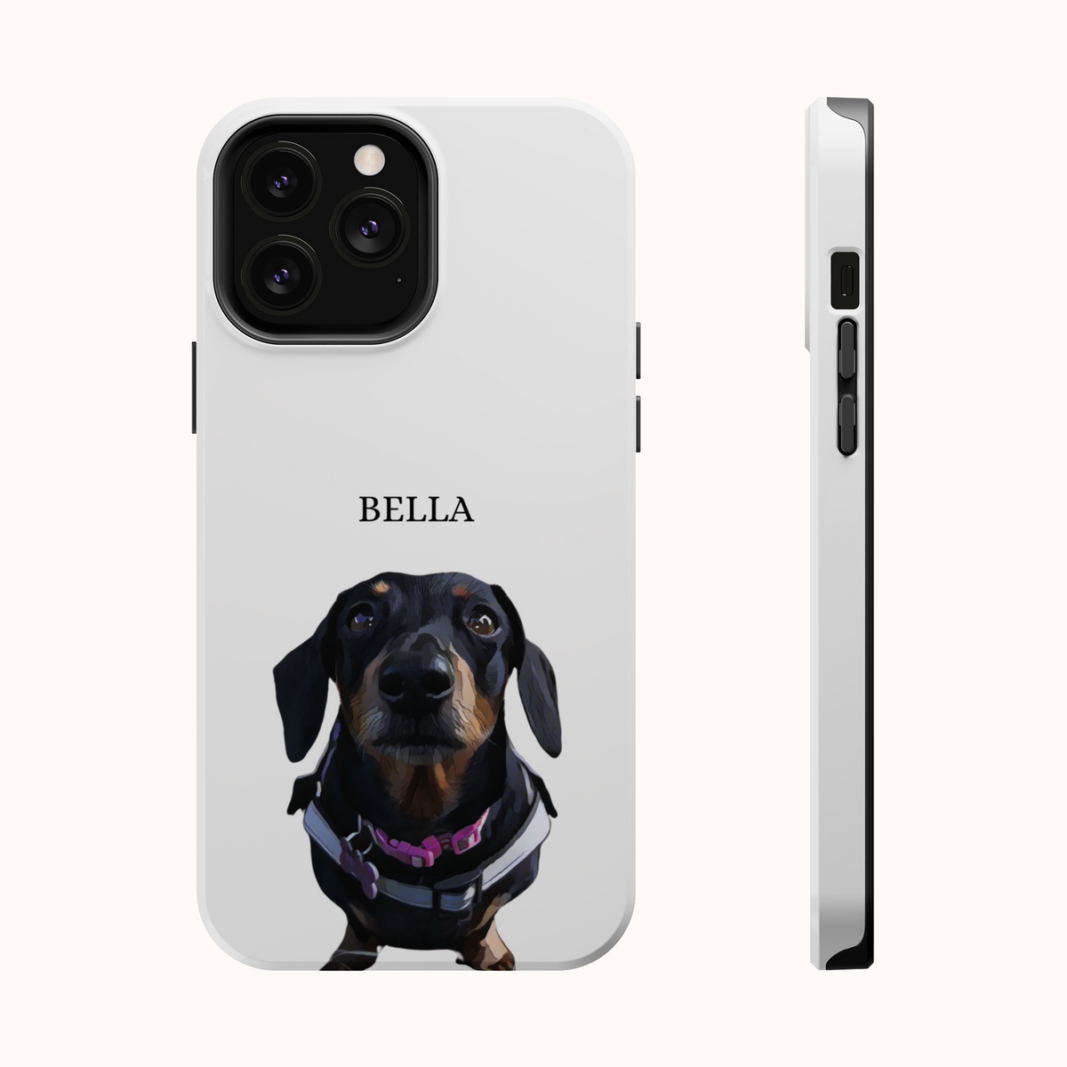 Custom Magnetic Cases