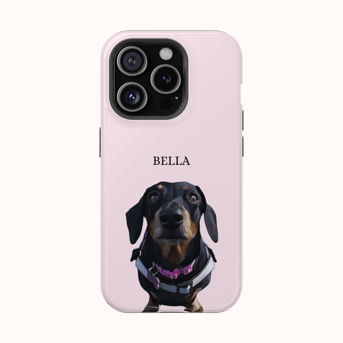 Custom Magnetic Cases
