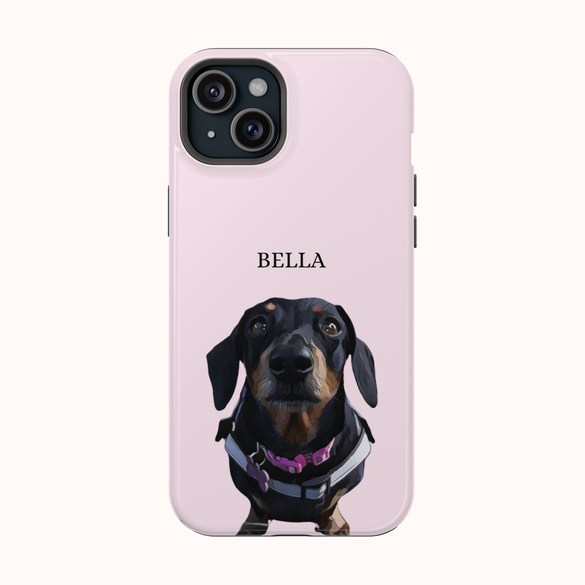Custom Magnetic Cases