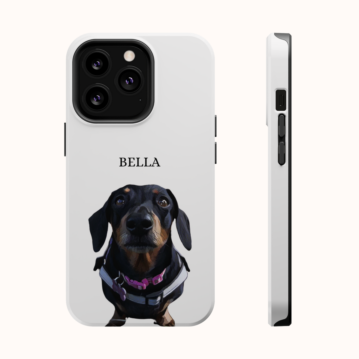 Custom Magnetic Cases