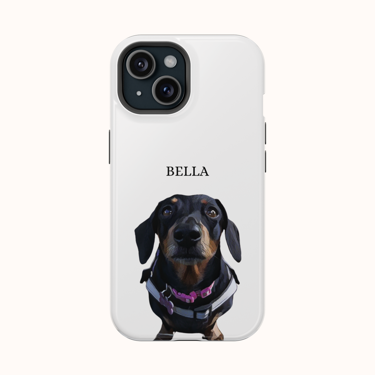 Custom Magnetic Cases