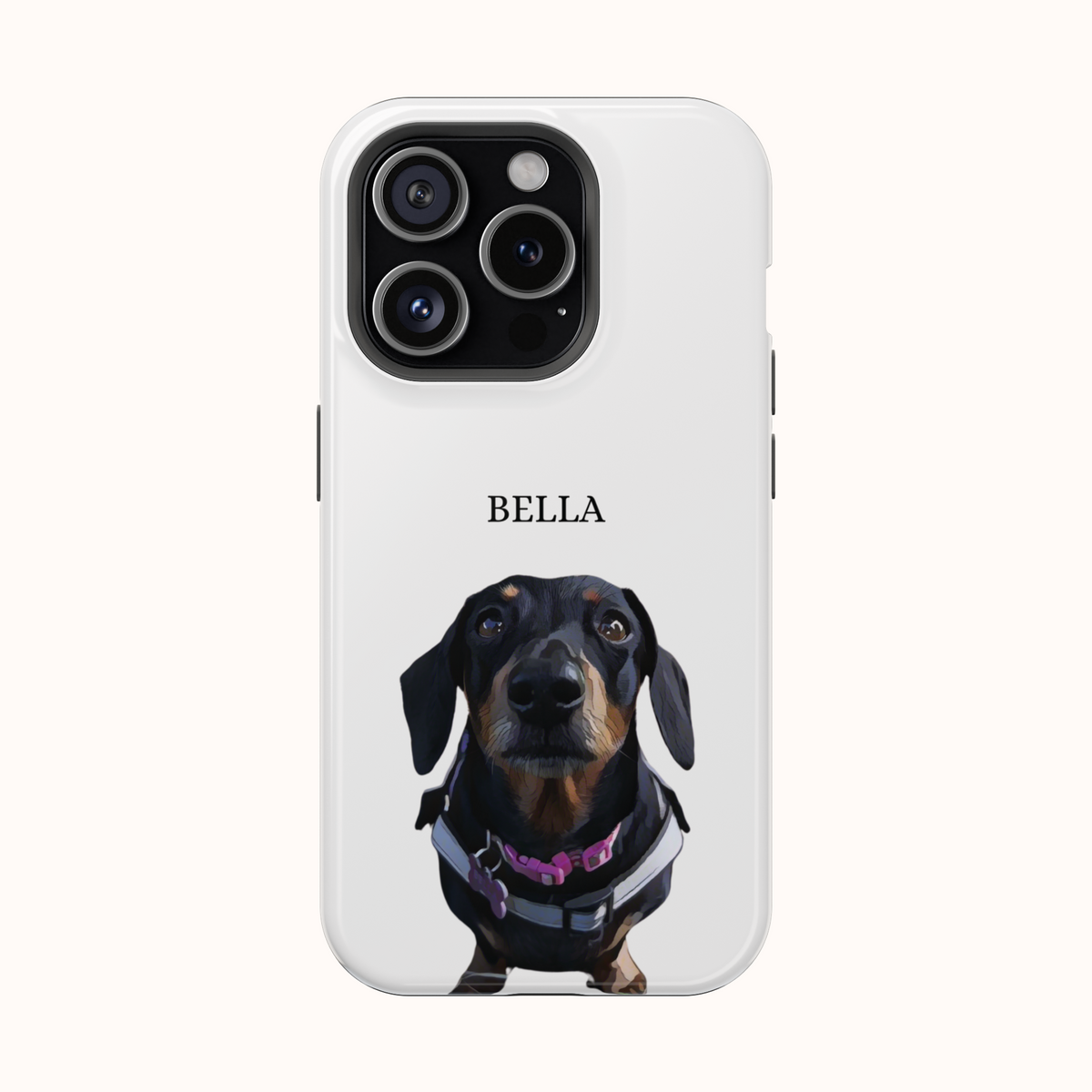 Custom Magnetic Cases