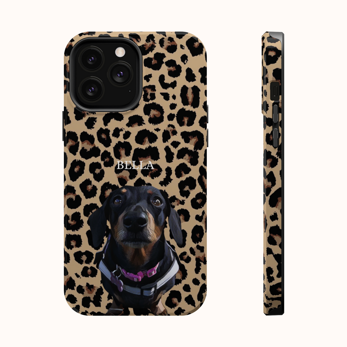 Custom Magnetic Cases