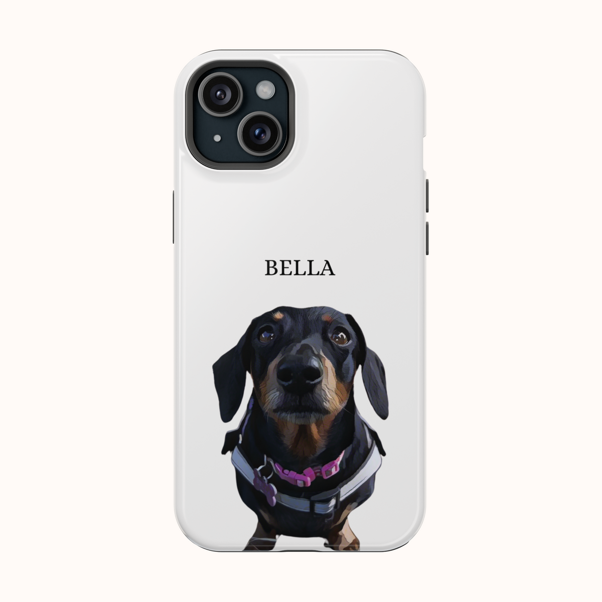 Custom Magnetic Cases