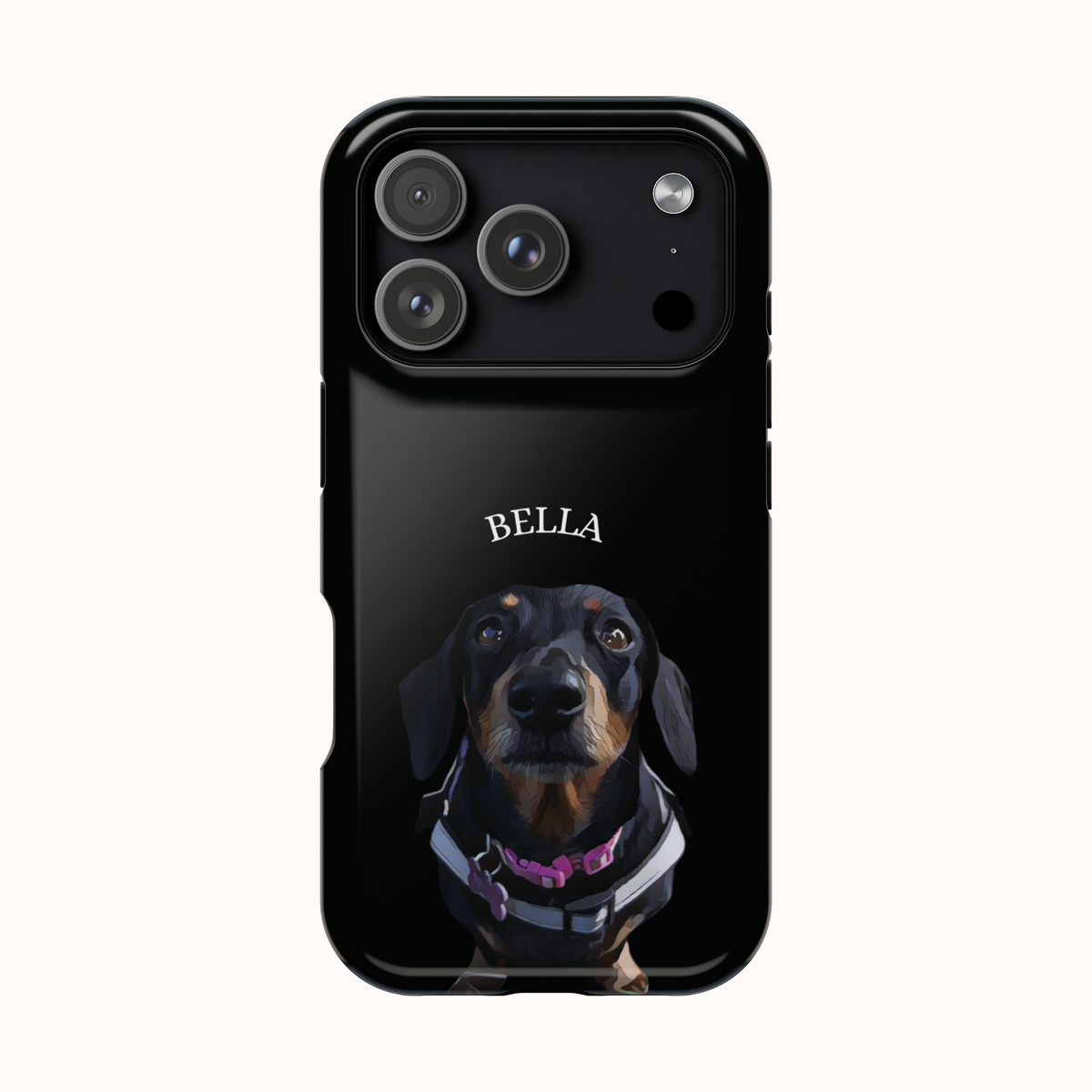Custom Magnetic Cases
