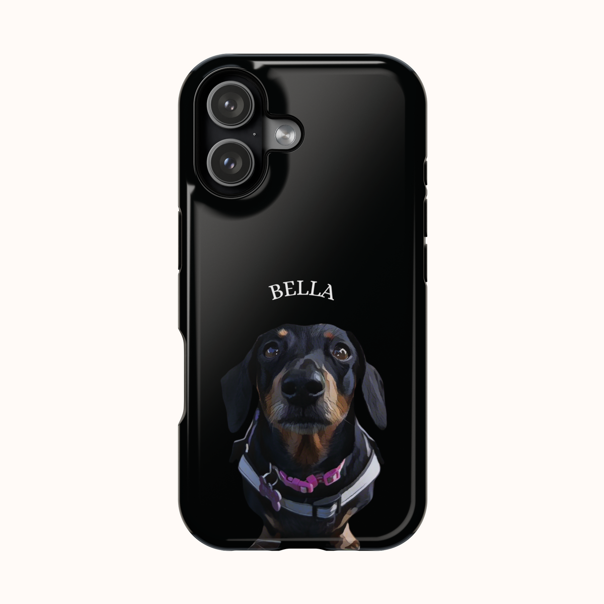 Custom Magnetic Cases