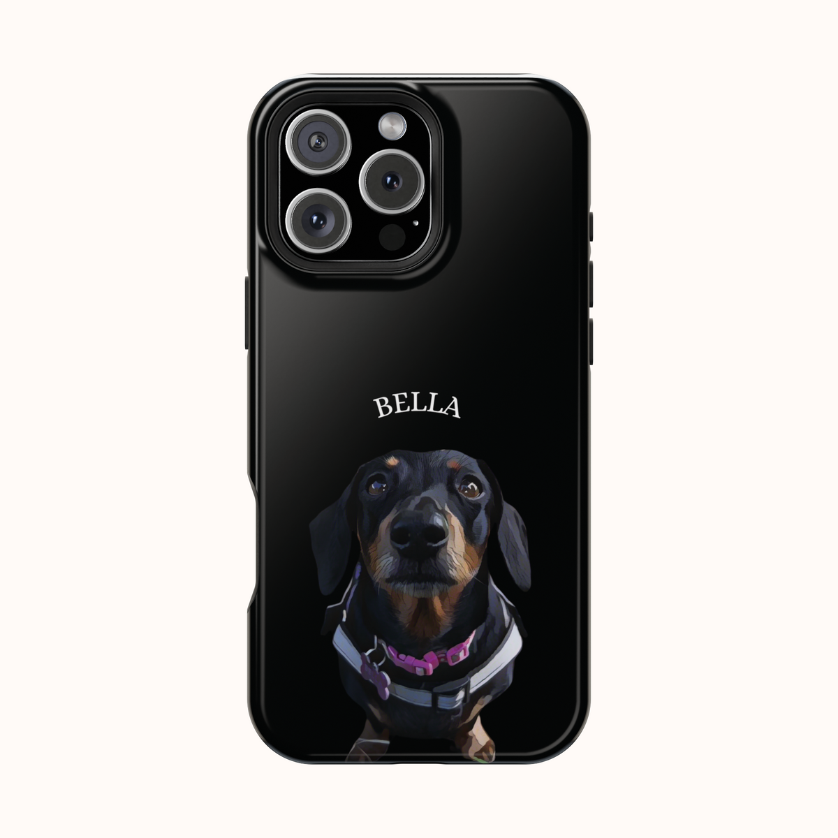 Custom Magnetic Cases