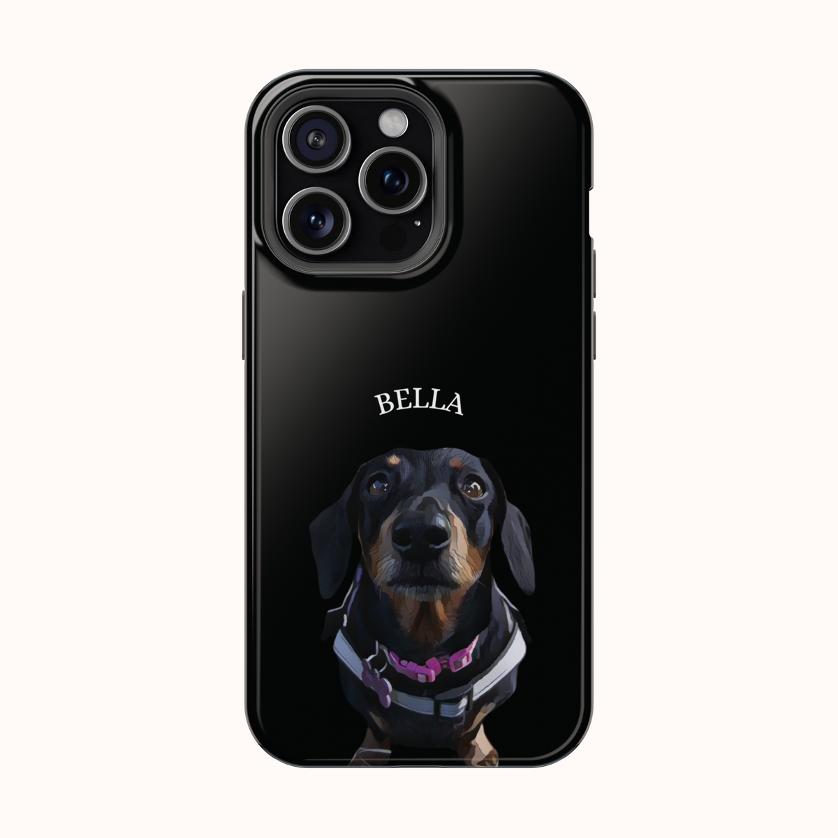 Custom Magnetic Cases