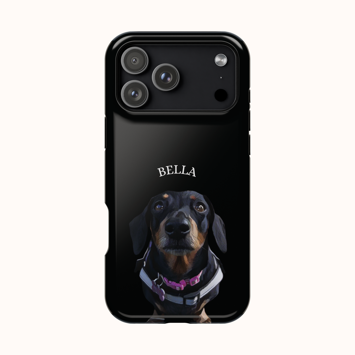Custom Magnetic Cases