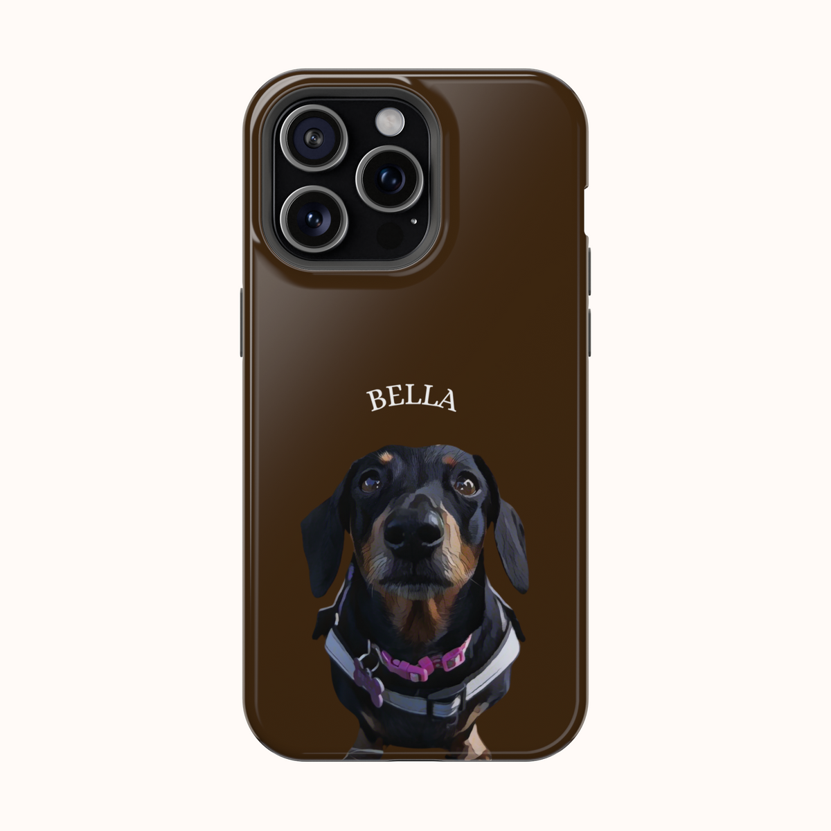 Custom Magnetic Cases