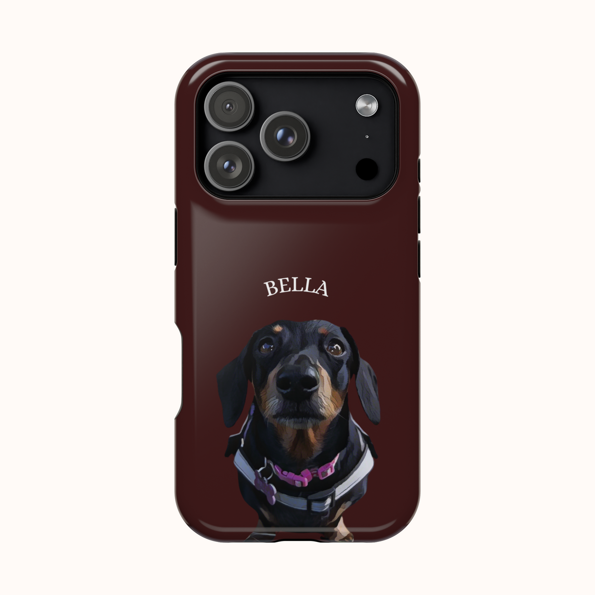 Custom Magnetic Cases