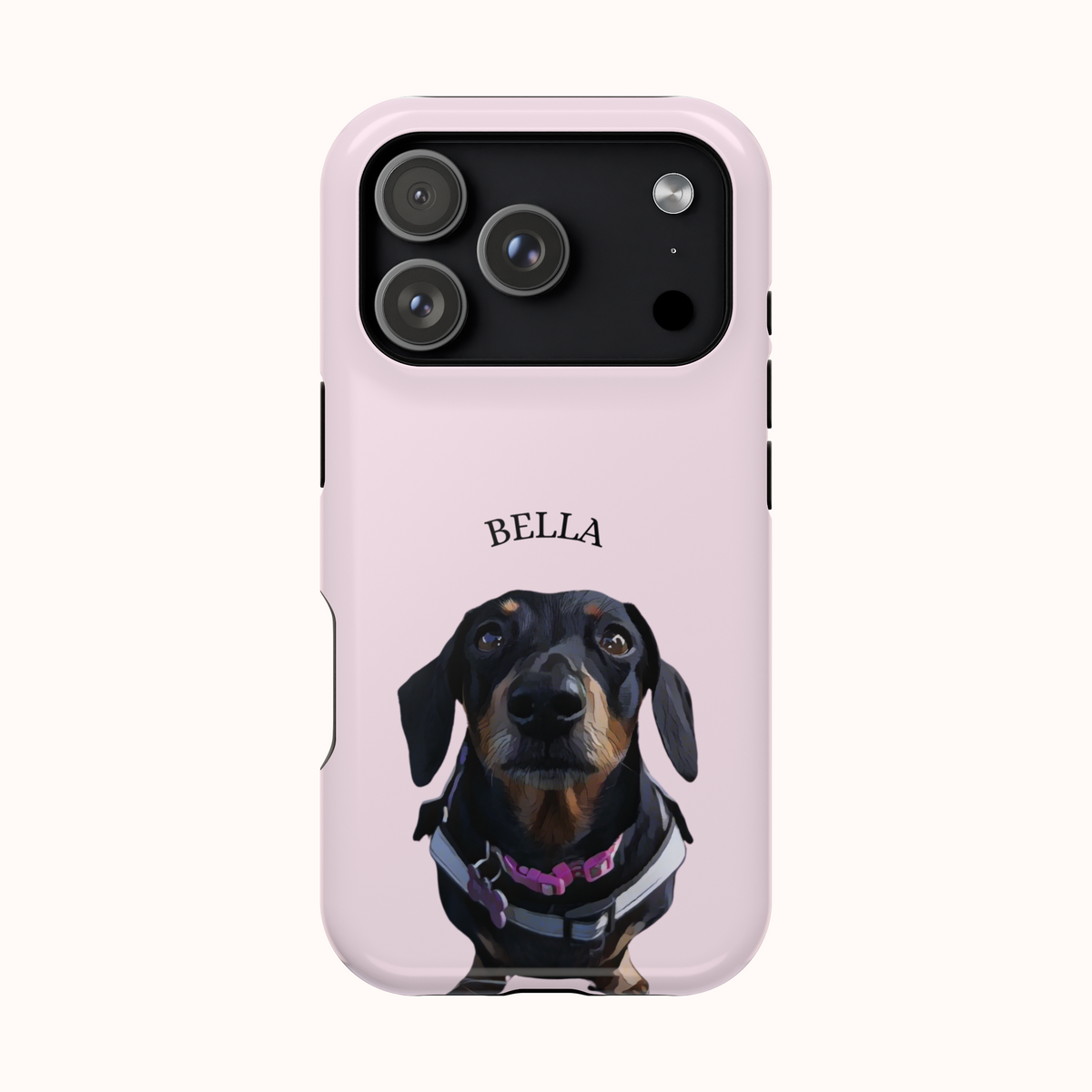 Custom Magnetic Cases