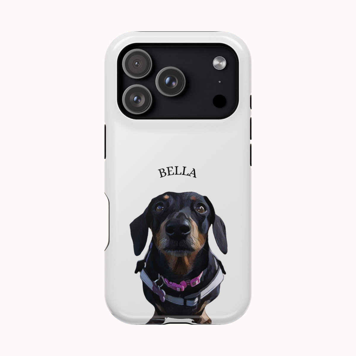 Custom Magnetic Cases
