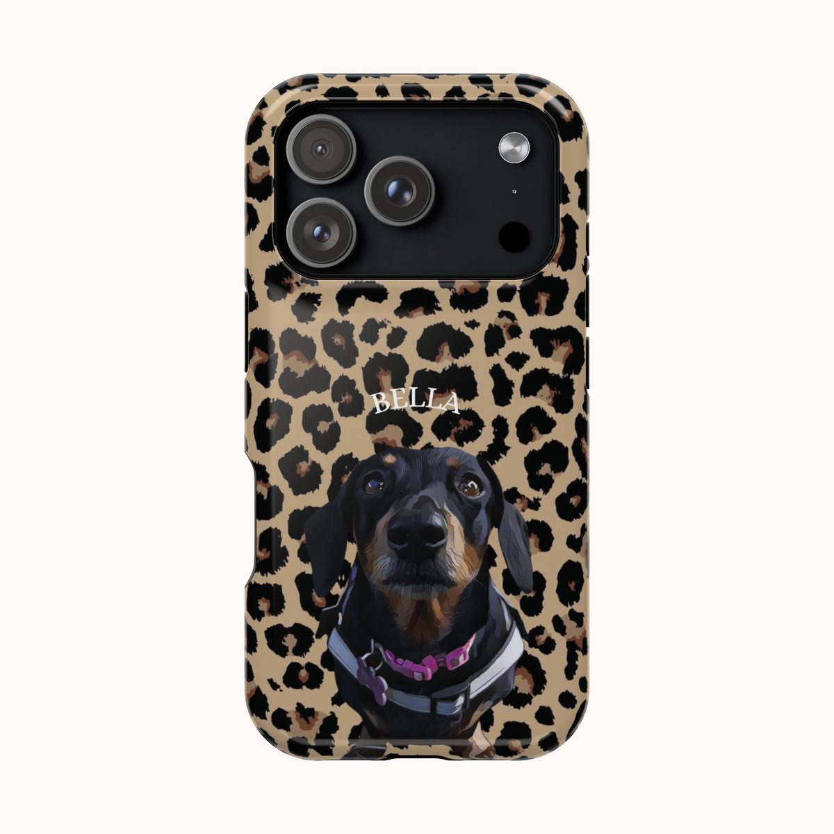 Custom Magnetic Cases