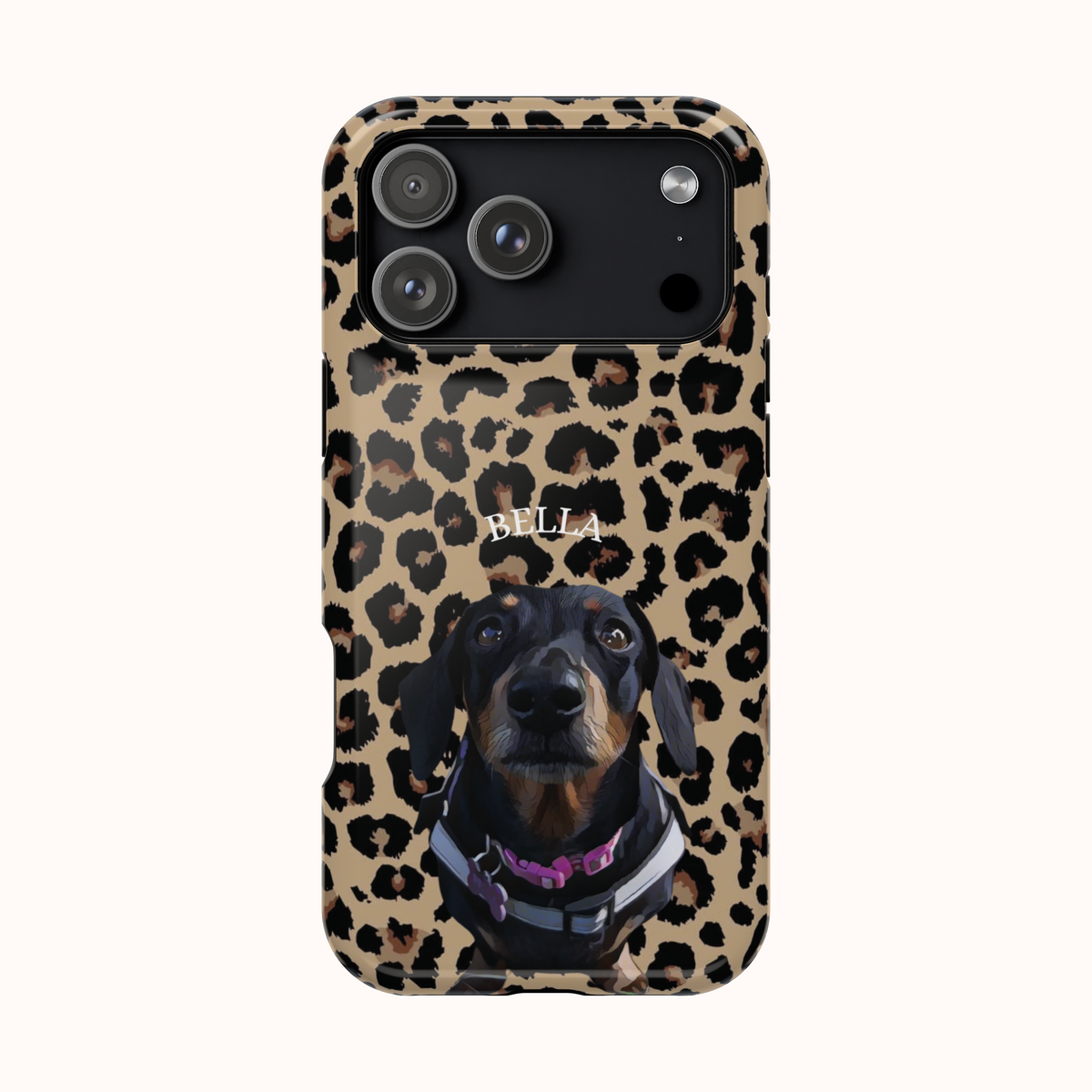 Custom Magnetic Cases