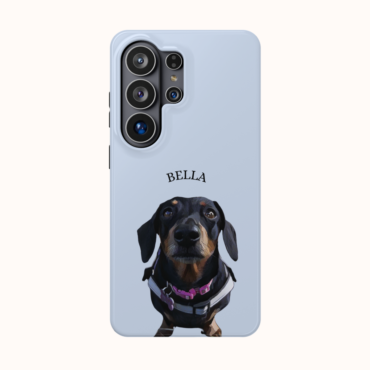 Custom Magnetic Cases